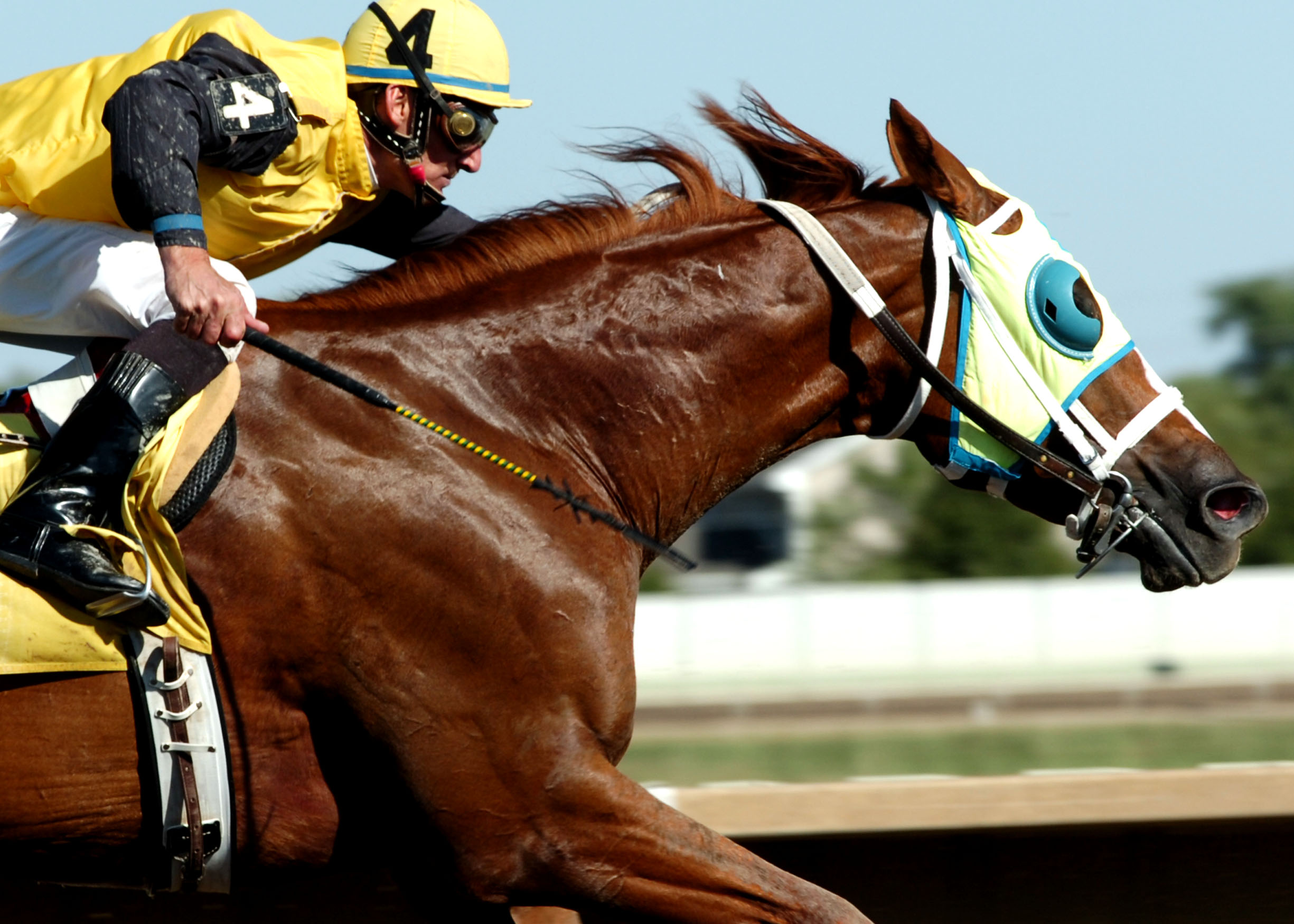 Horse Breeding Program Iowa Department of Agriculture and Land